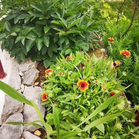 Margareta Apartament Novi Vinodolski