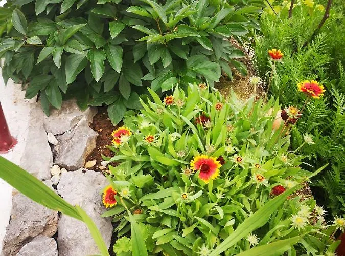 Margareta Apartament Novi Vinodolski