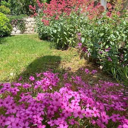 Margareta Novi Vinodolski