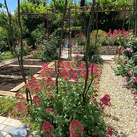 Margareta Apartament