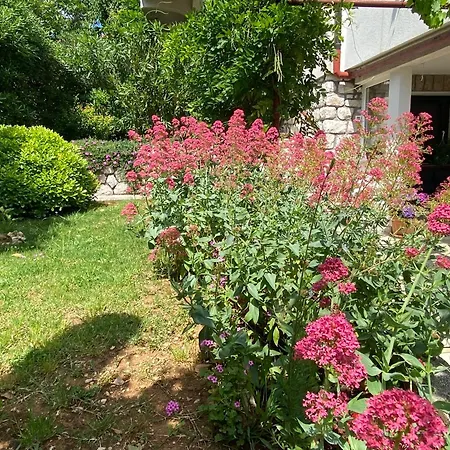 Apartament Margareta