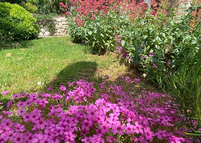 Margareta Novi Vinodolski